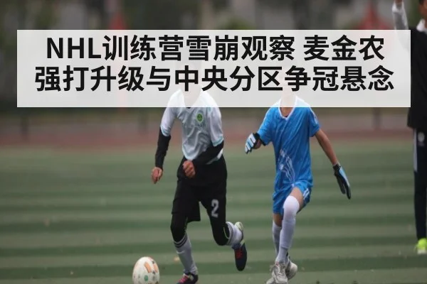 NHL训练营雪崩观察 麦金农强打升级与中央分区争冠悬念